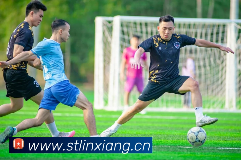 星空体育首页注册平台生态图